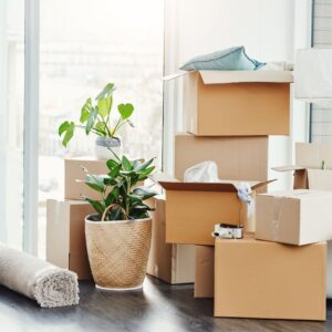 stack of moving boxes