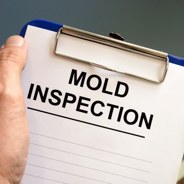 mold inspection paper